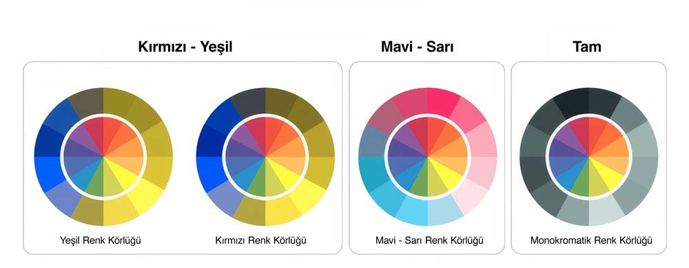 renk körlüğü testi sonuçların yorumlanması